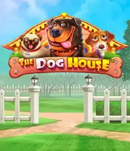 От Pragmatic Play представлен The Dog House, приносящий вам прекрасное путешествие в мире очаровательных собак. Наслаждайтесь функциях таких как бесплатные вращения, разработанных для доставления развлекательного геймплея. Обязательно для любителей животных забавную атмосферу и возможностью выиграть крупно.